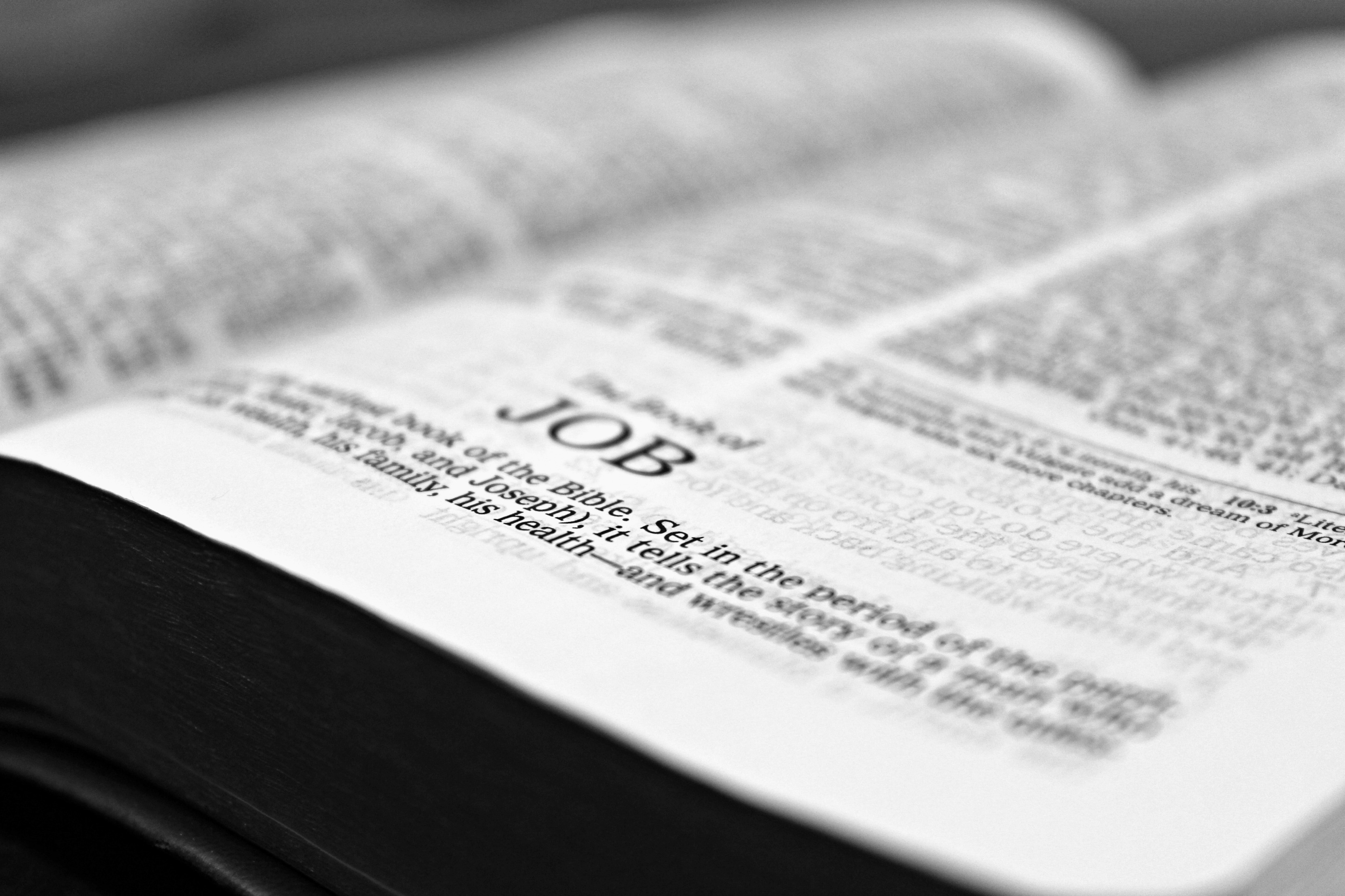 bible-job-reading-christianity-159679.jpeg